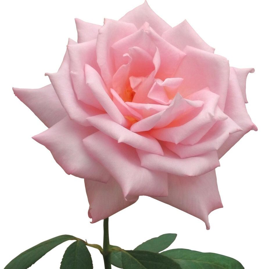 日斌雕塑摄影工作室