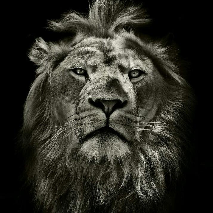 永恒34日月之纶