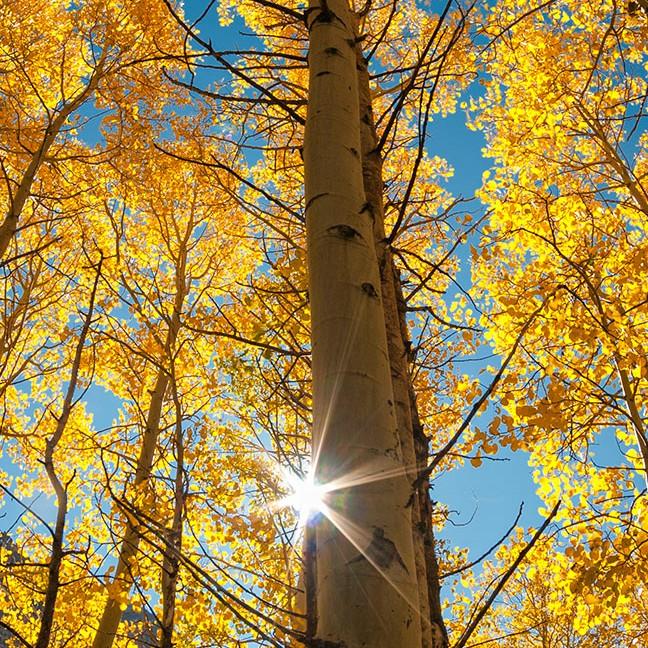 什么都是浮云r789