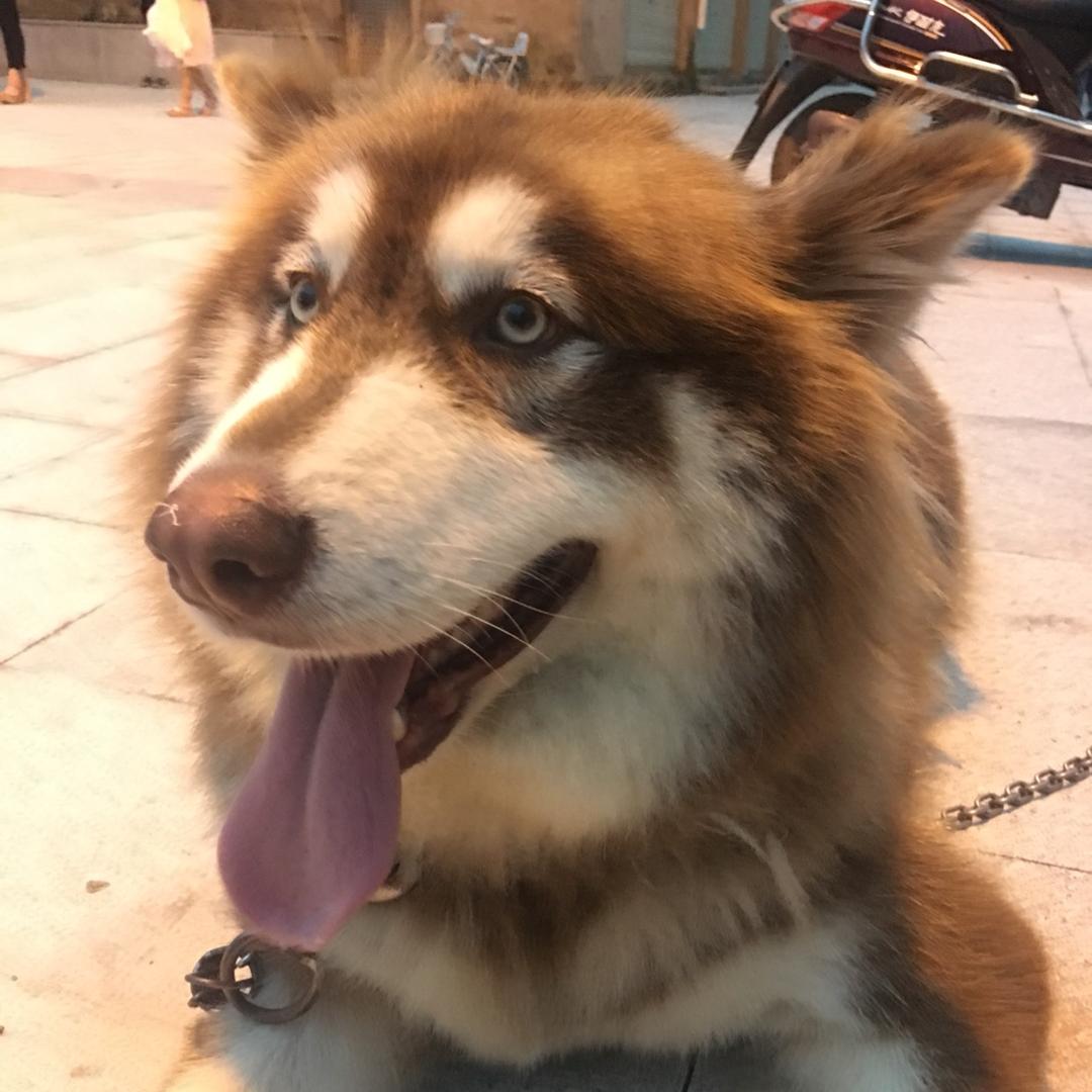 🌈小面妹妹🌈