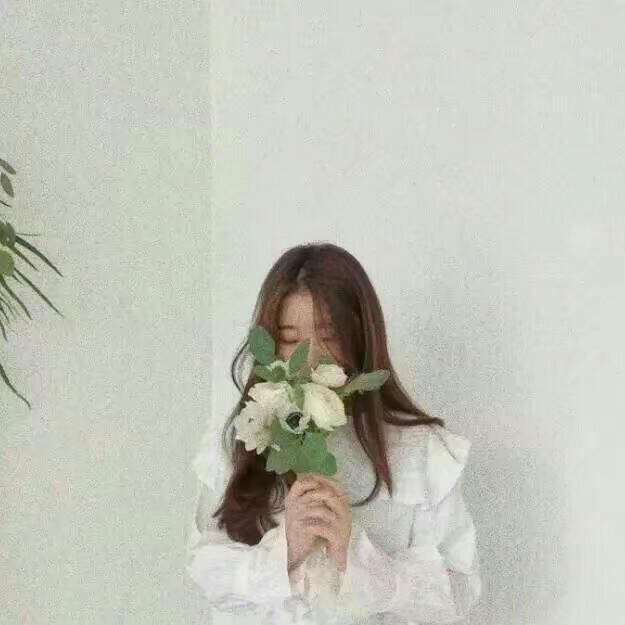笨蛋的生活