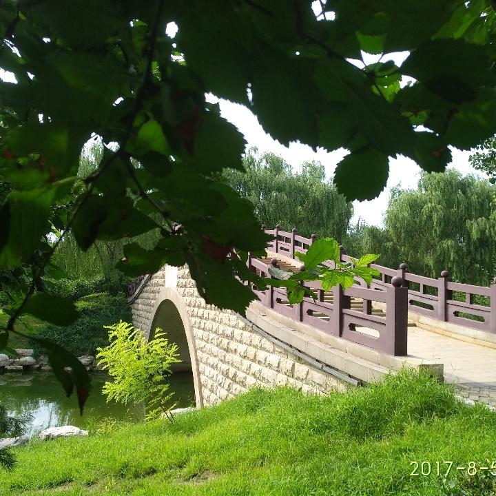 阳光很暖