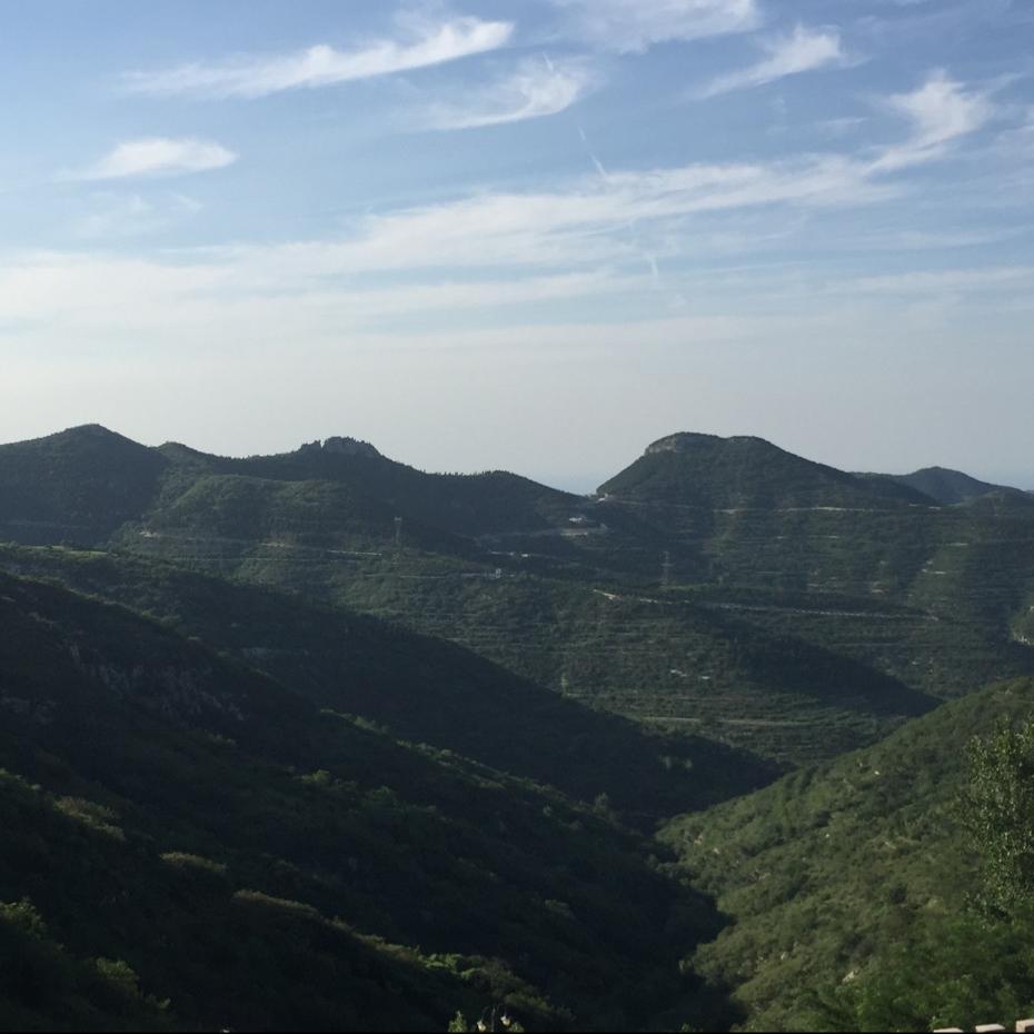 没有汤喝的小鳄鱼