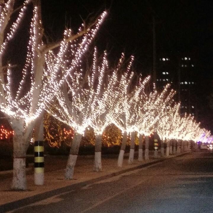 恋情，