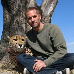 高密金青鸟门窗