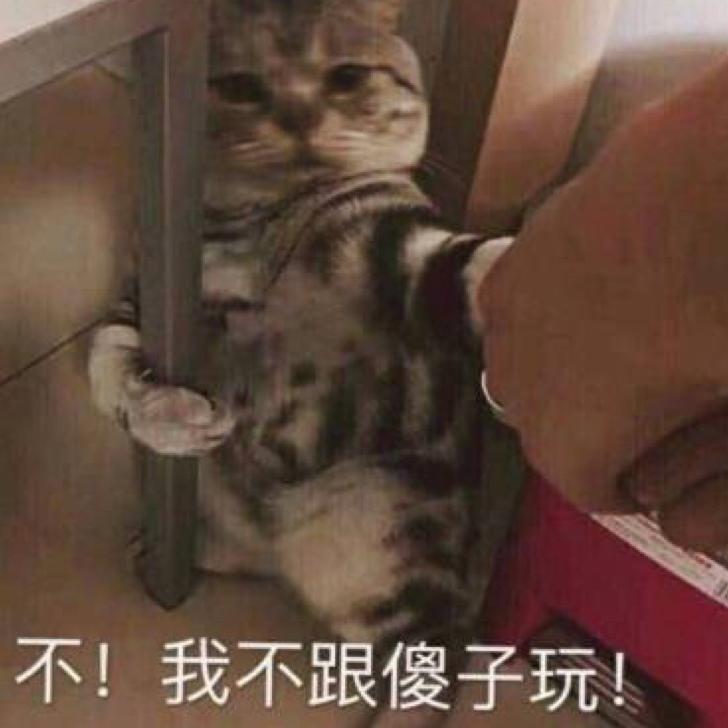 好大一个hmp