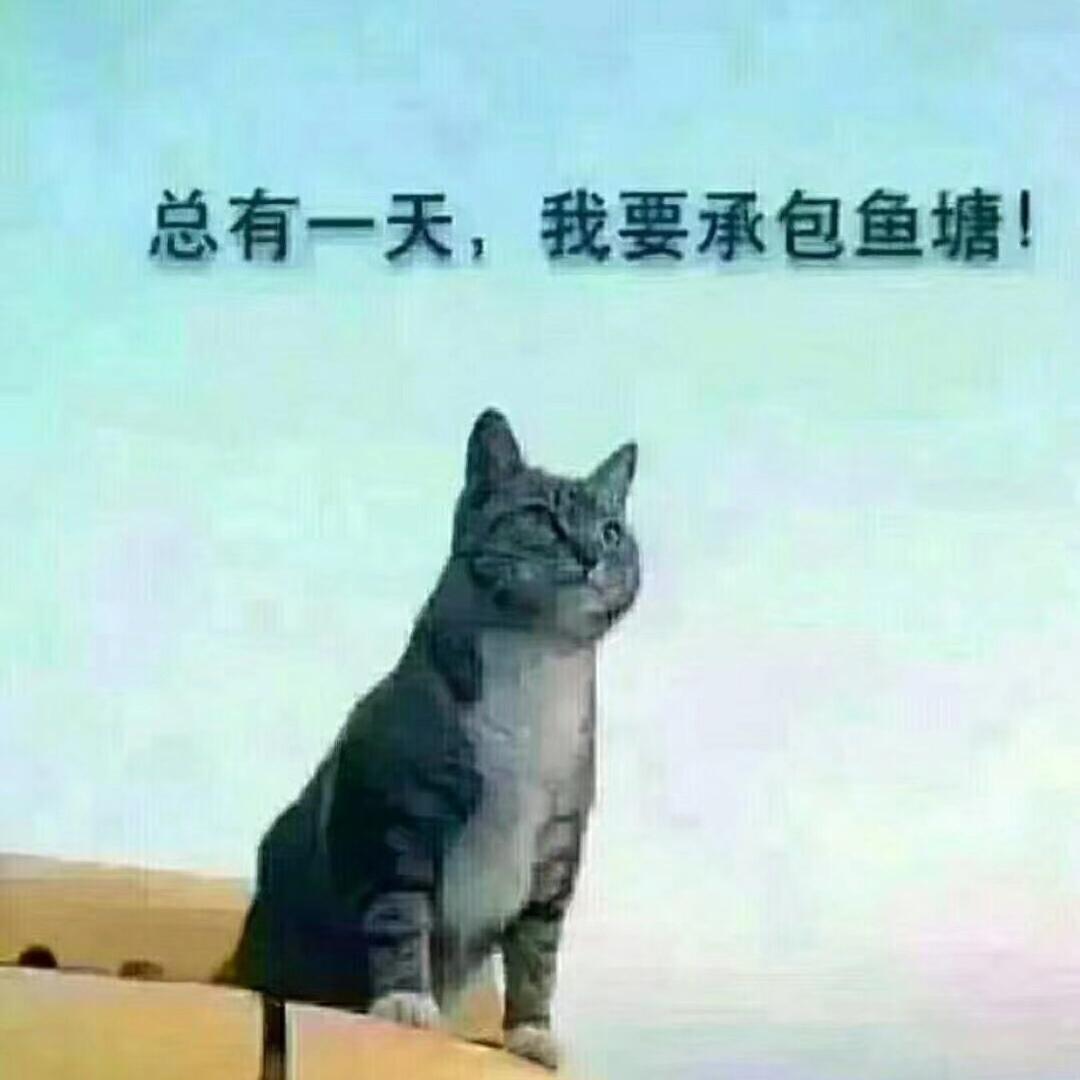 形和影