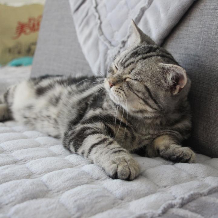 大大大大大大大大滢