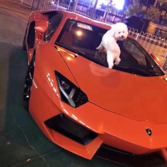 我心永恒