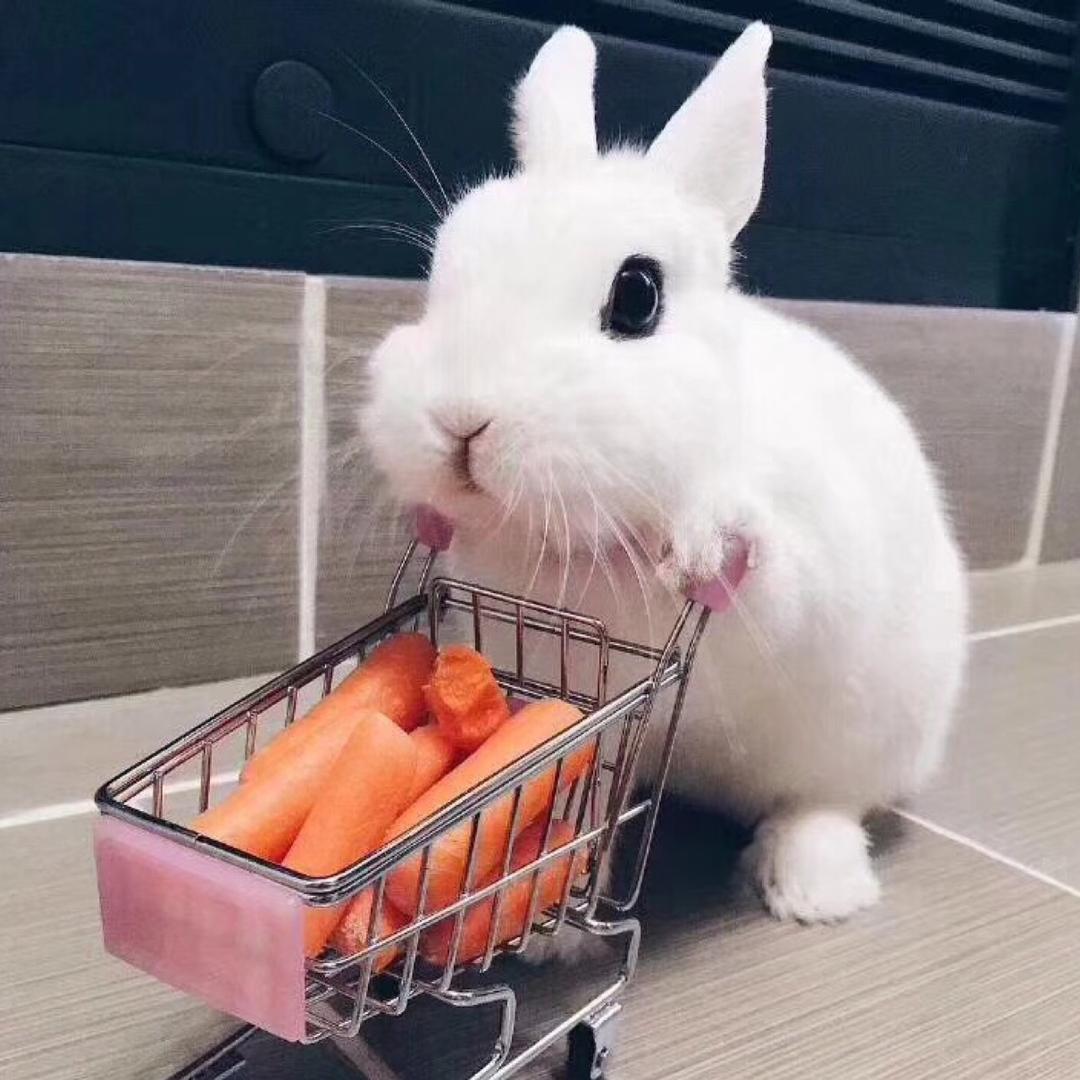 舒远