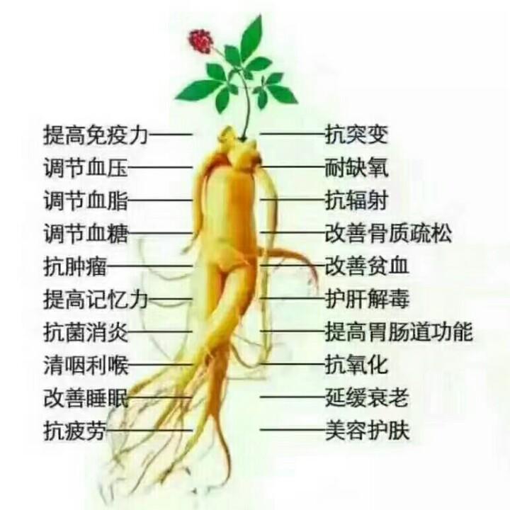 小七参农