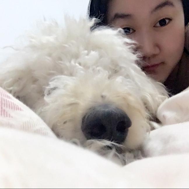 李清心