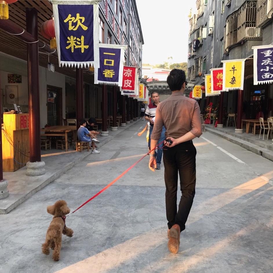 小白来了呀