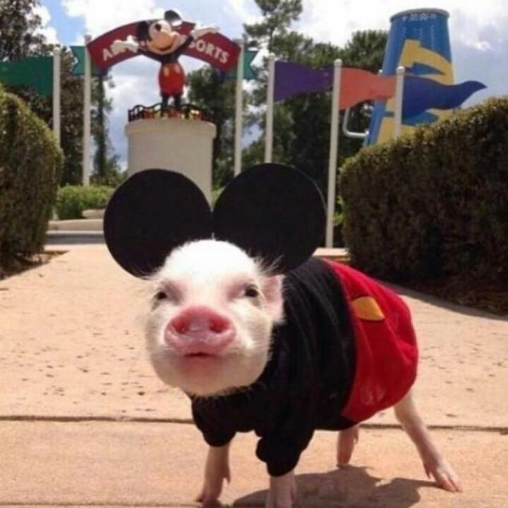 暖暖。