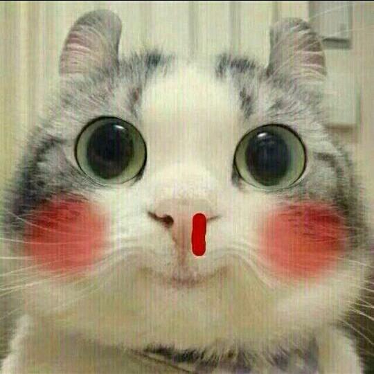 小菠萝