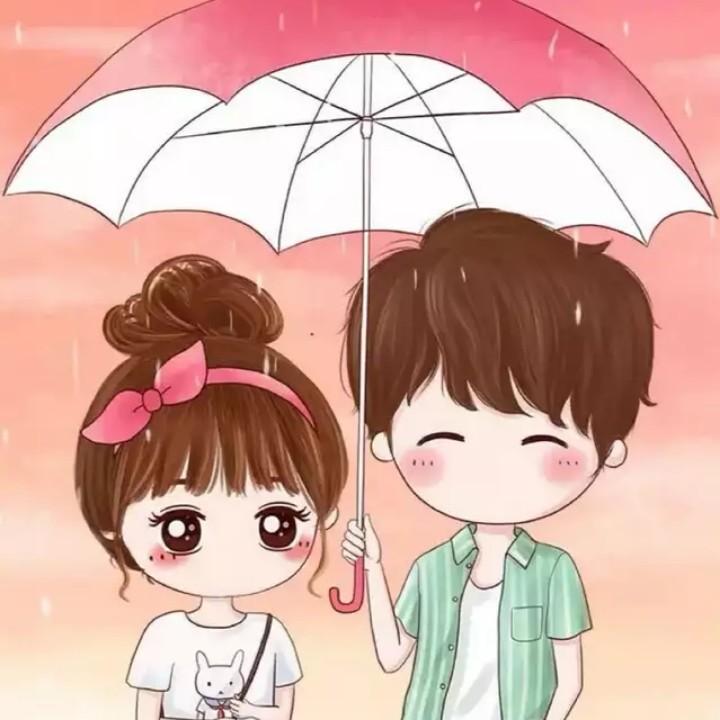 小猫不次鱼