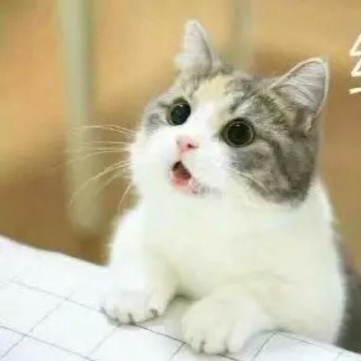 淹死一碗油条