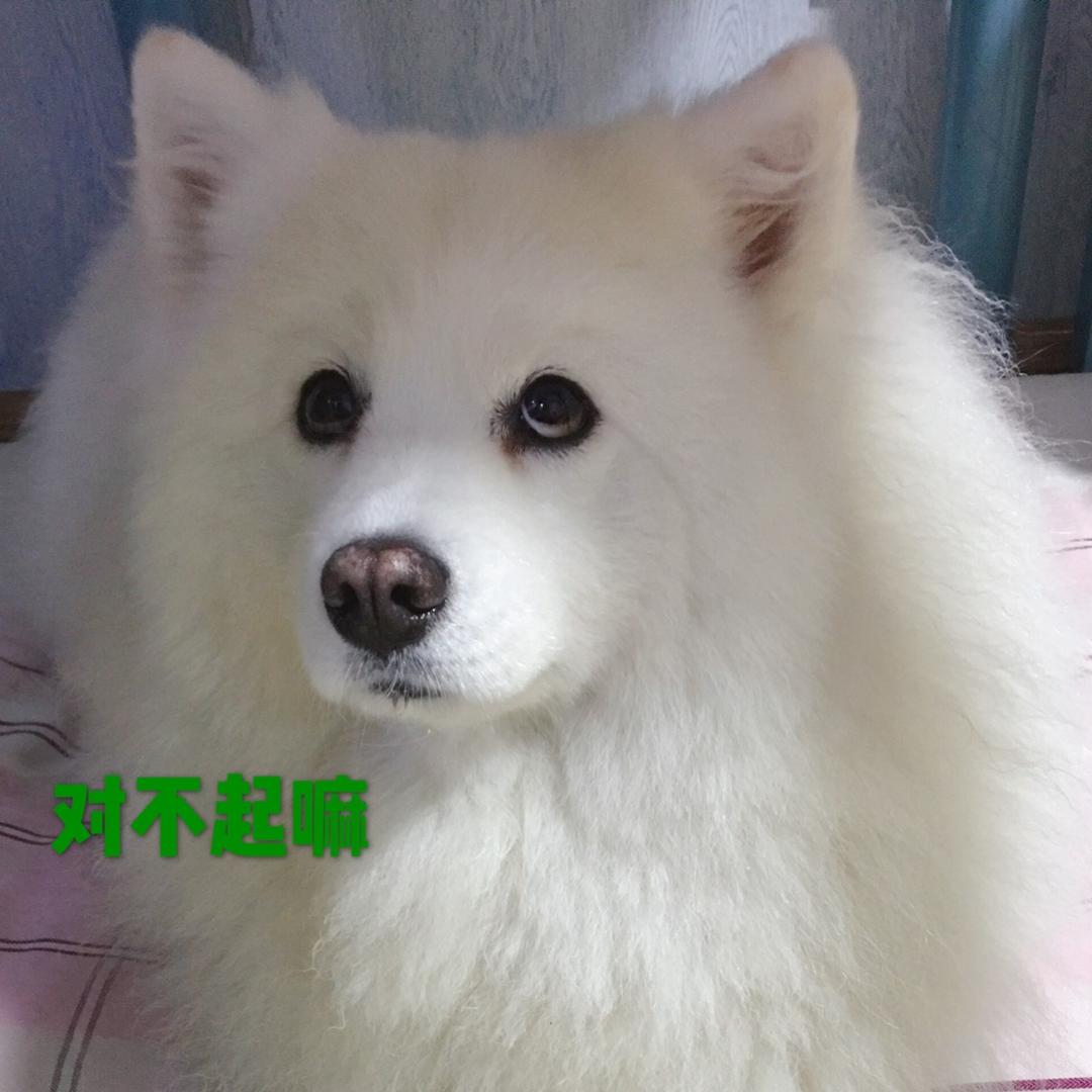 南旺仔小馒头