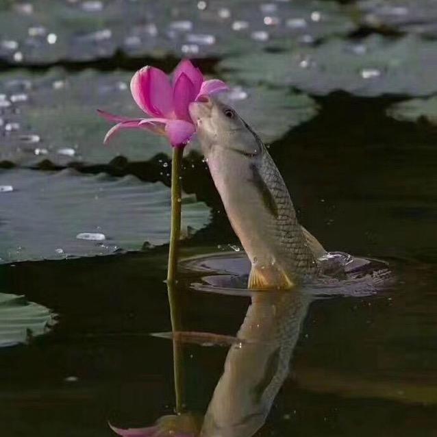 小草