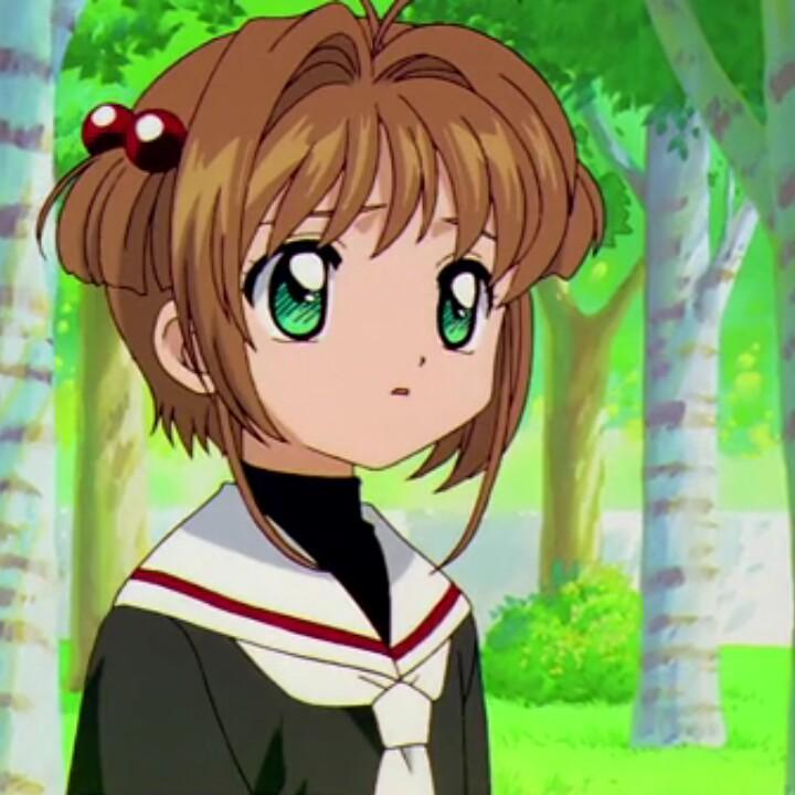 陪你春夏秋冬