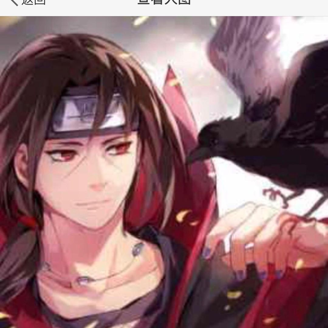 大熊小清新