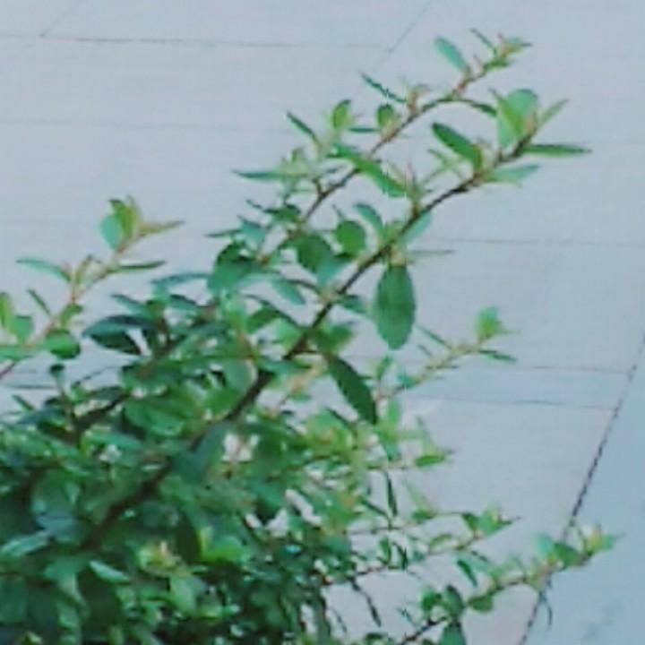 问玉58