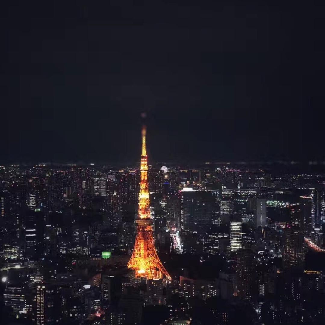莫西👀