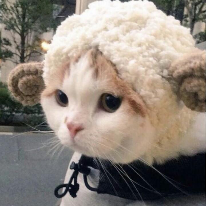 你好包包
