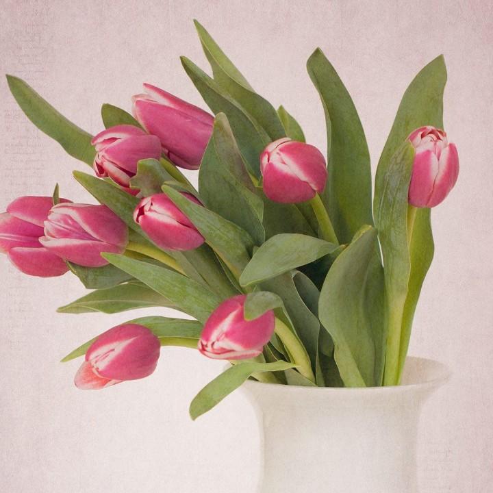 长兴行行广告横幅