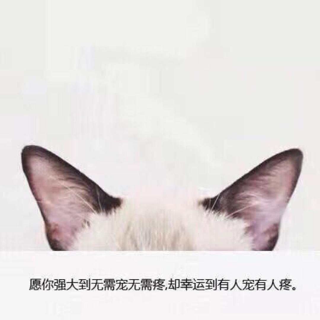 喵"～