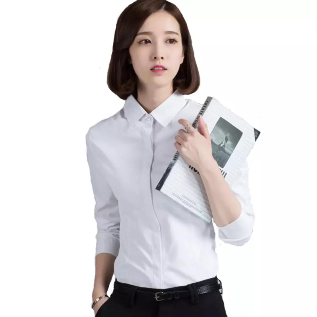 Ms 胡