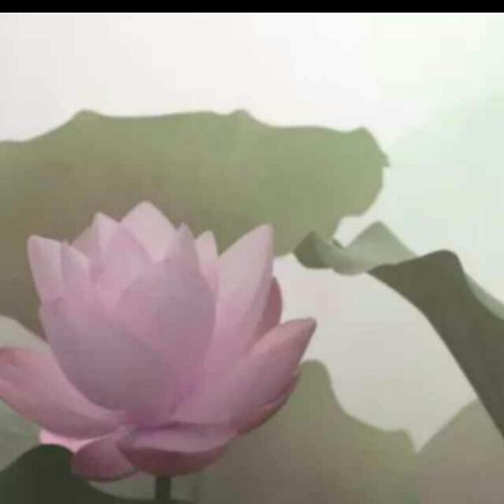 茜茜