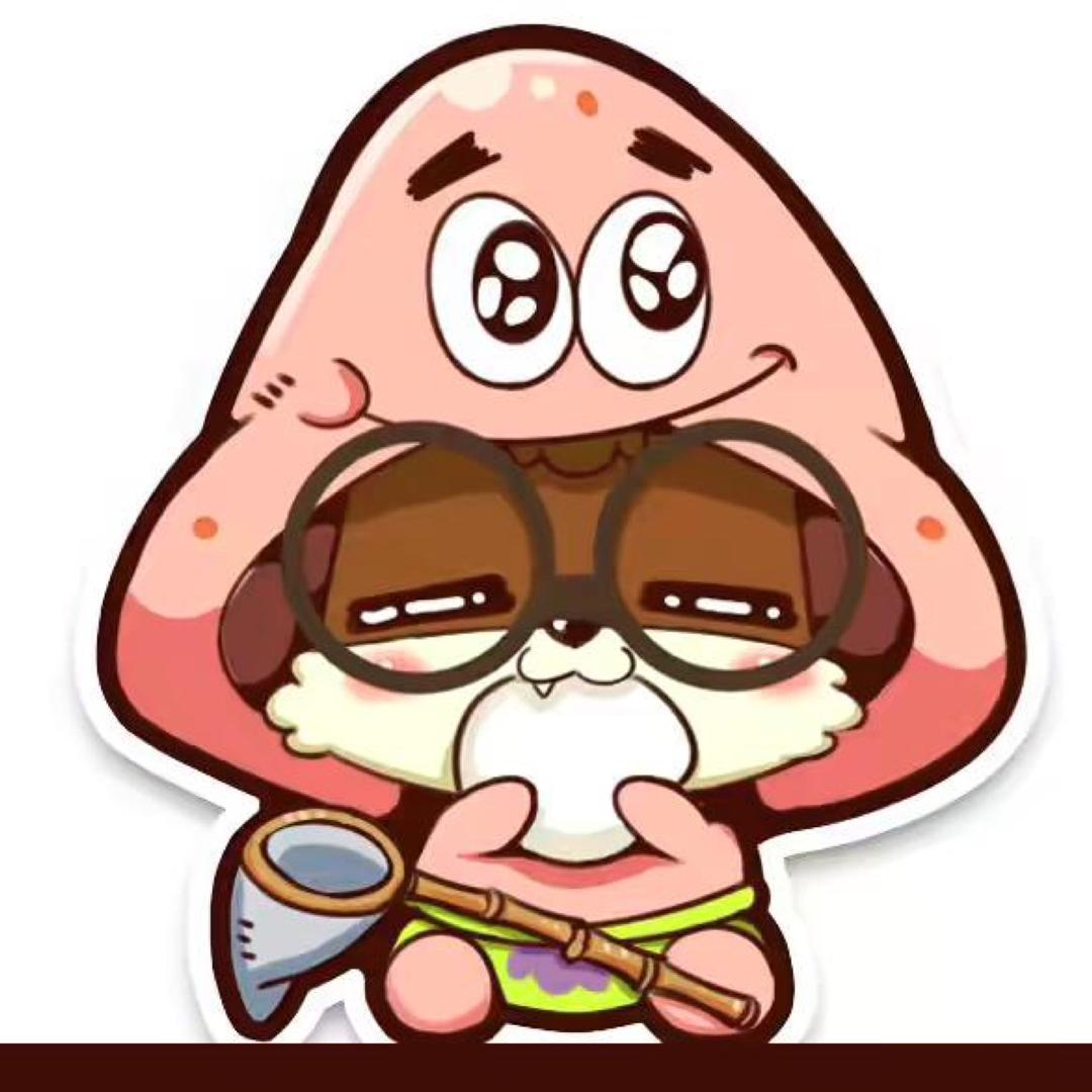 浅时光