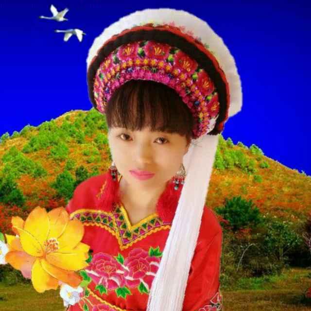 兰花草