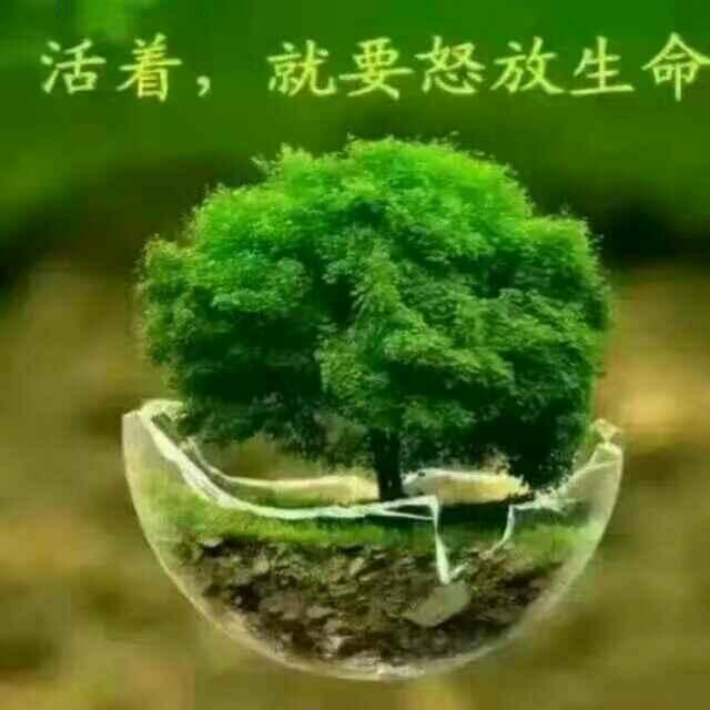 西伯利亚老螃蟹