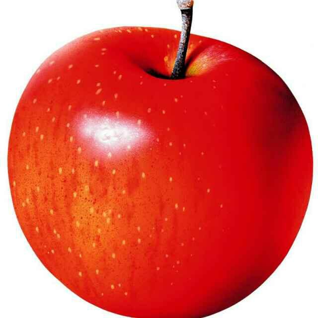 Apple_2567