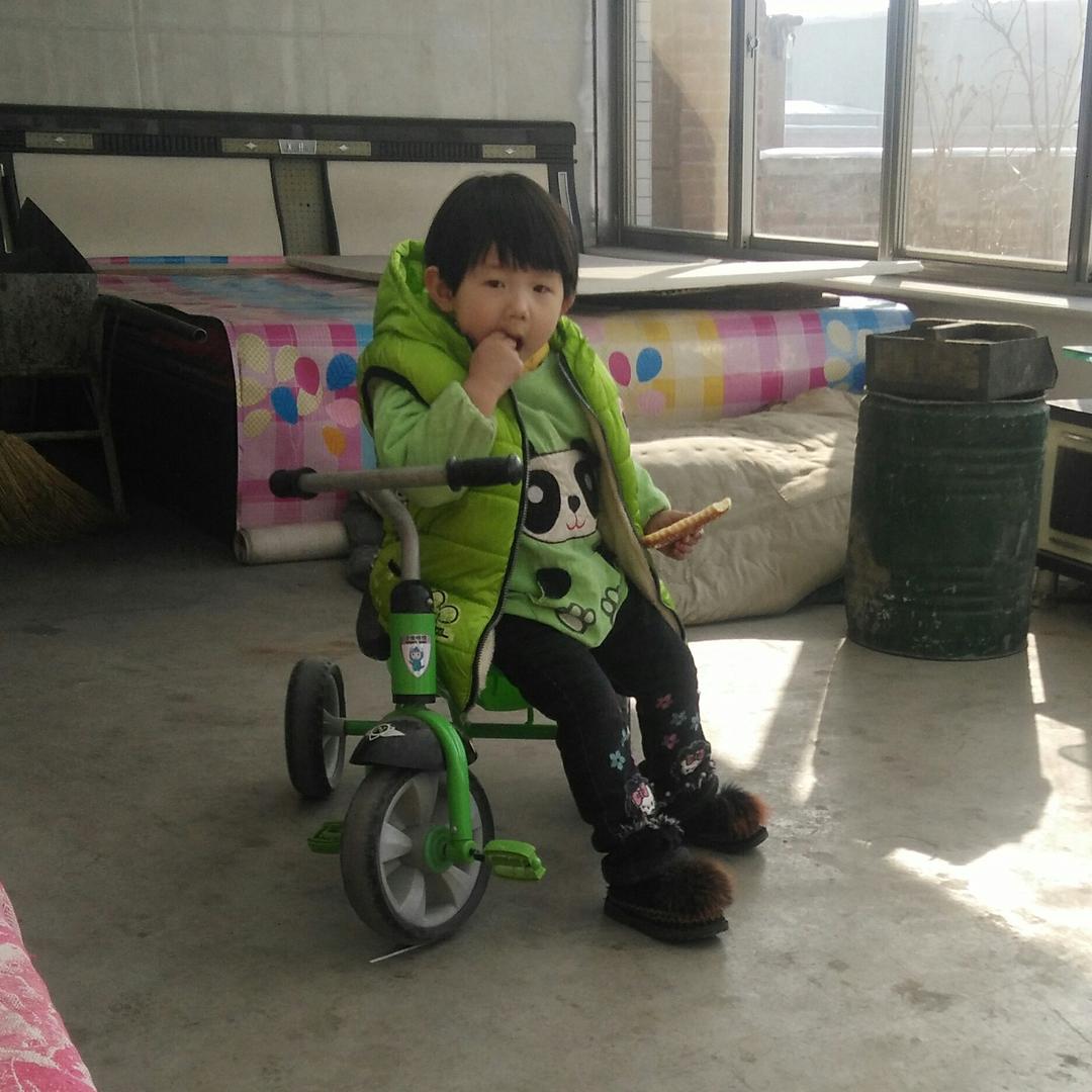 老姐妹花姐妹花大_2028043