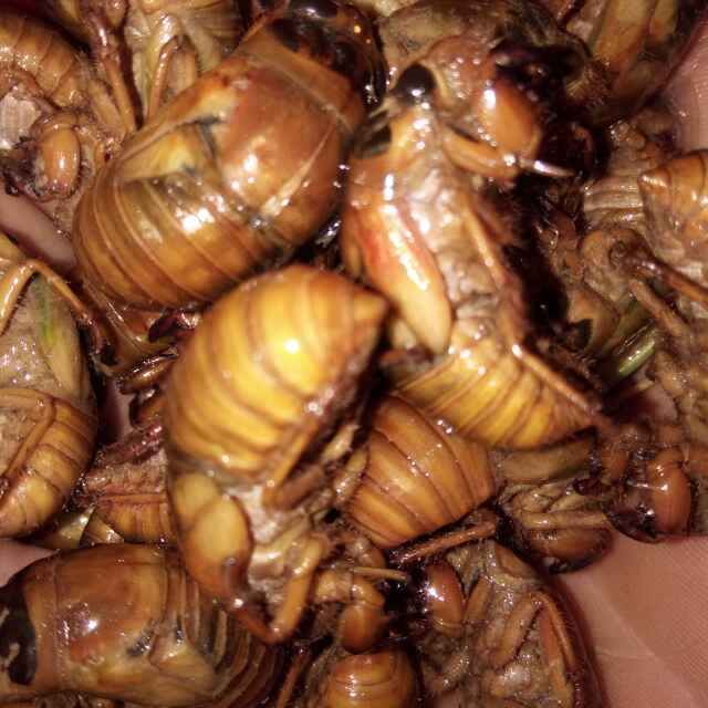 小酒天天有_2094