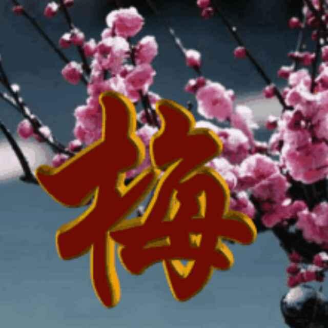 ꧁༺梅雪情缘༻꧂