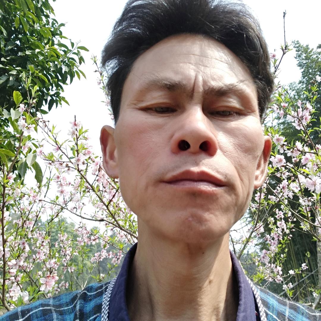 李明元739