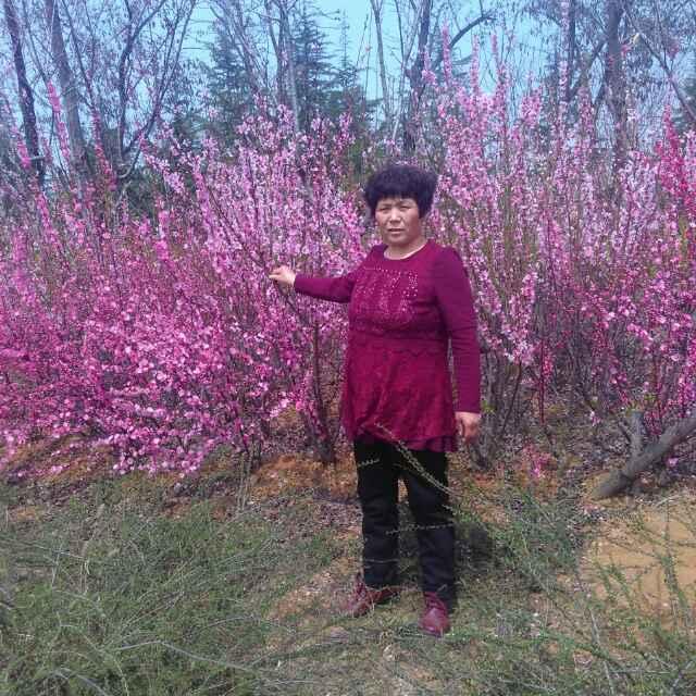 花香_2092041