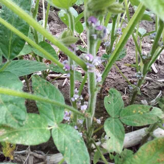 我的快乐我作主_22