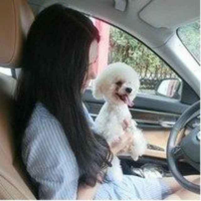 波妈妈_212343