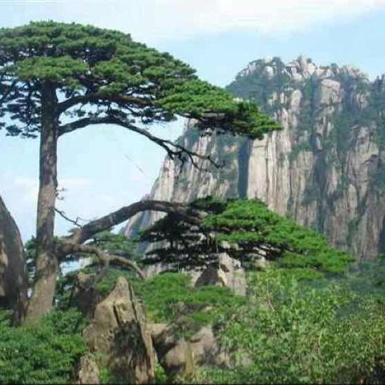 太想念_₍˄·͈༝·͈˄*₎◞ ̑̑