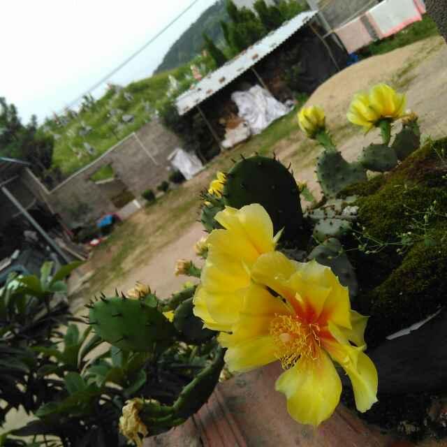 顾全大局_2320848