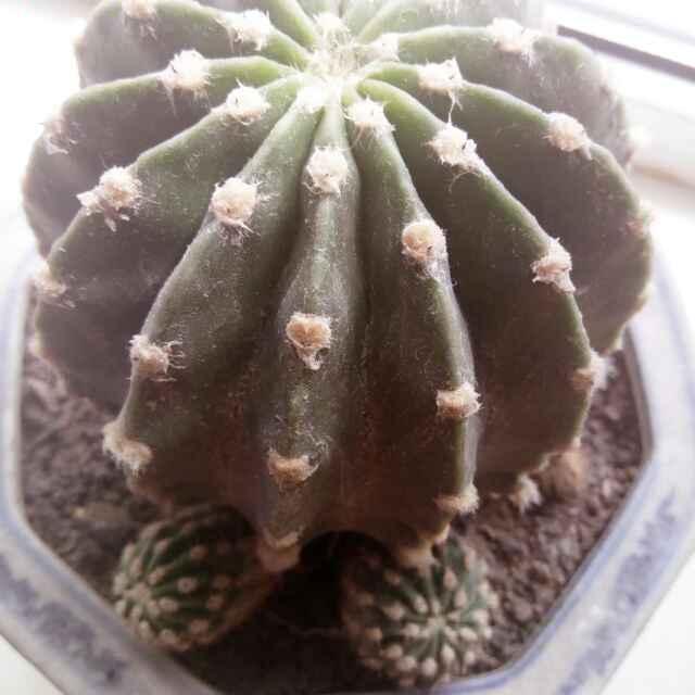 知足常乐    🌹