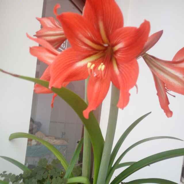 开心天天见