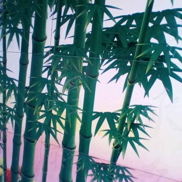 春天里的新鲜事
