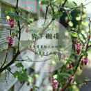 开心快乐在一起714