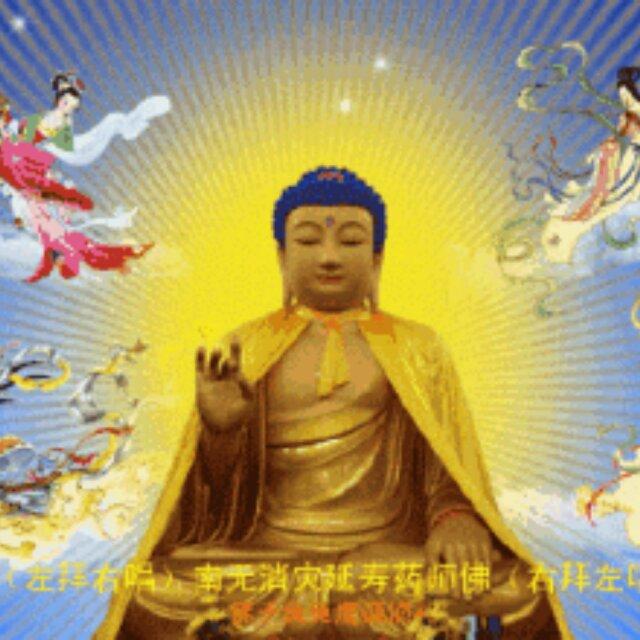 yangyo76o1